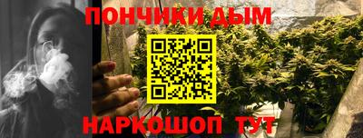 шишки Жуковский