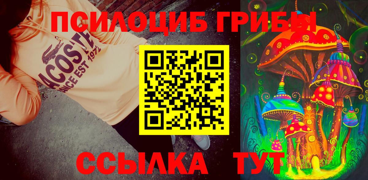 Галлюциногенные грибы прущие грибы Минусинск