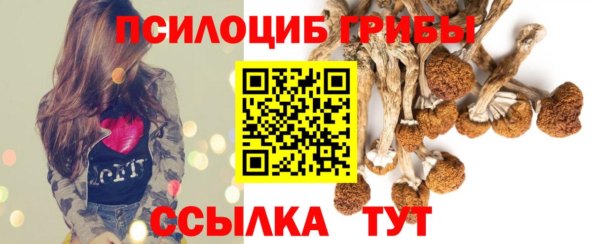Галлюциногенные грибы мухоморы  Вход с VPN  Минусинск 